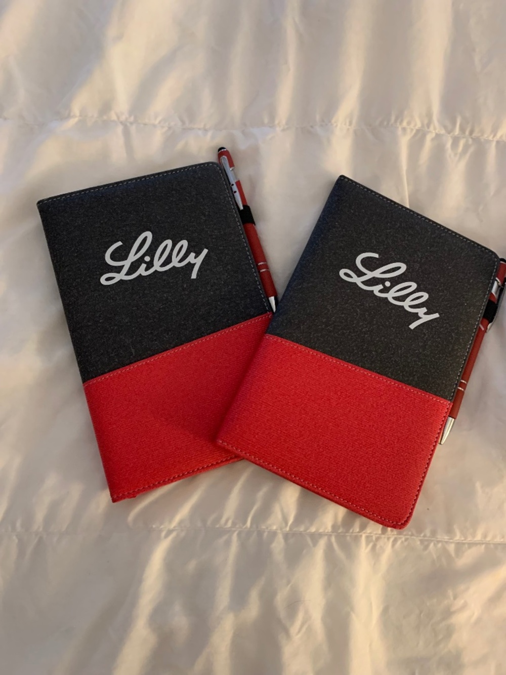 Canvas Lilly Notebook And Pen Duo